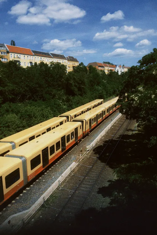 A yellow city train curving through the trees and rooftops of Berlin.