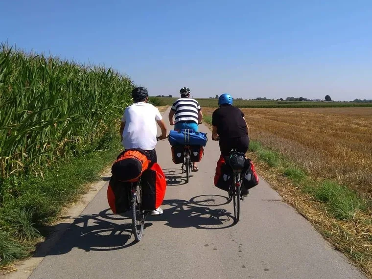 Three friends cycling a long straight path between cornfields under a clear sky.