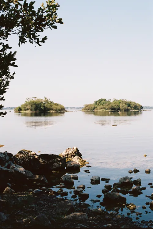 Two small wooded islands on the calm Shannon.